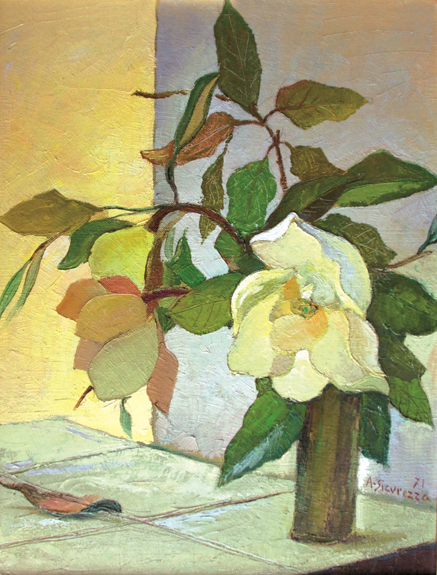 Magnolias by Antonio Sicurezza