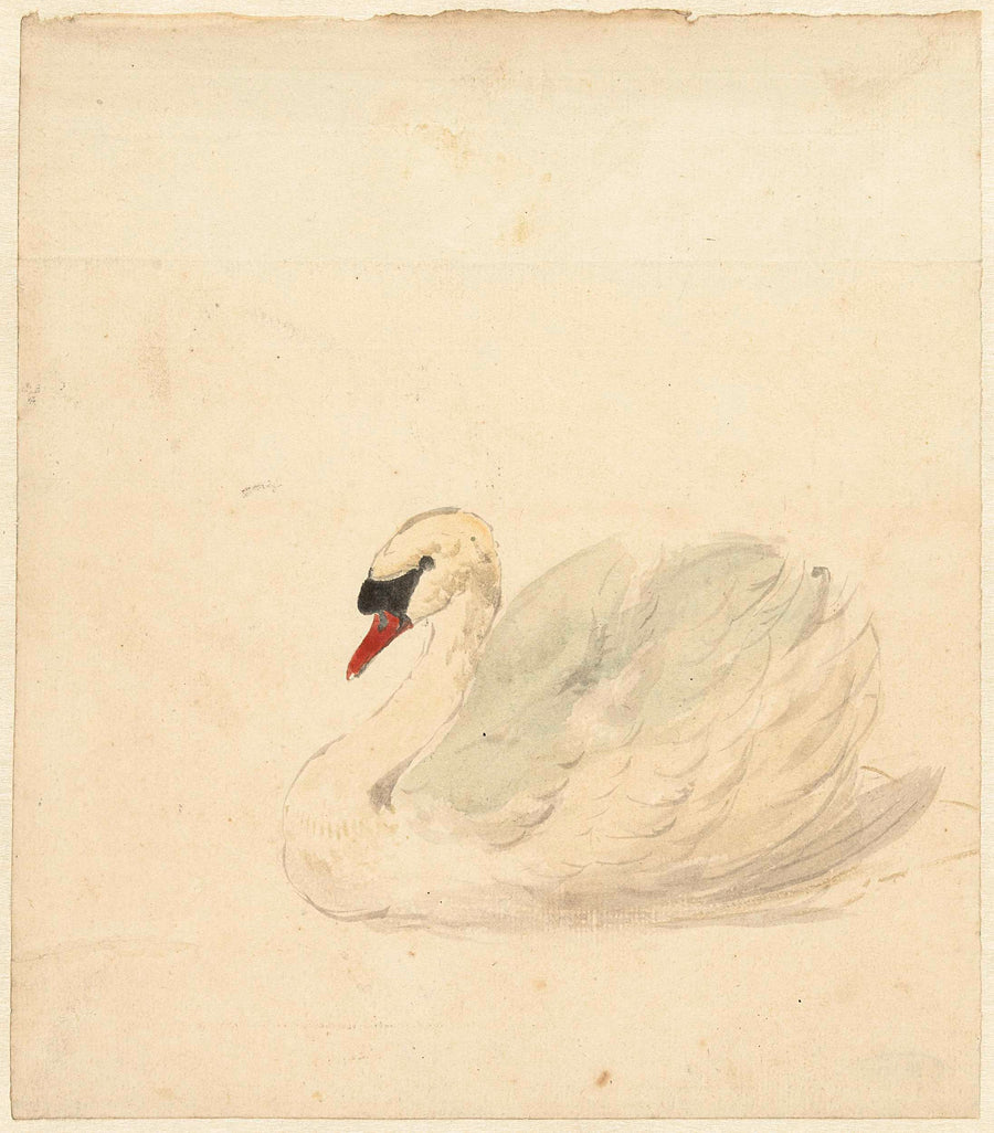 Swan by Aert Schouman