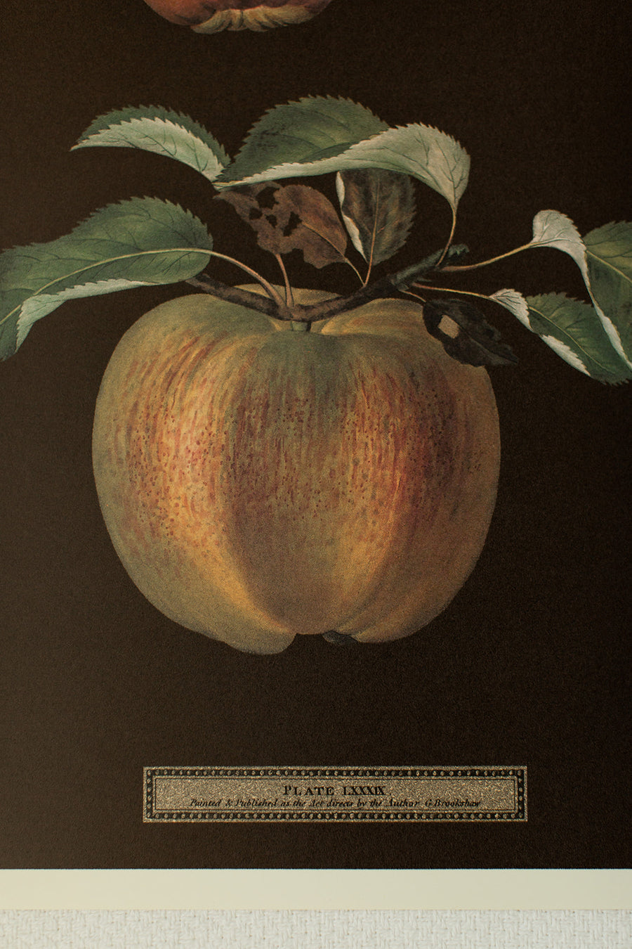 The Fruit of George Brookshaw