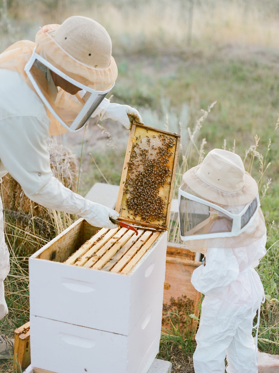Beehive Votives – Pure Beeswax Candles