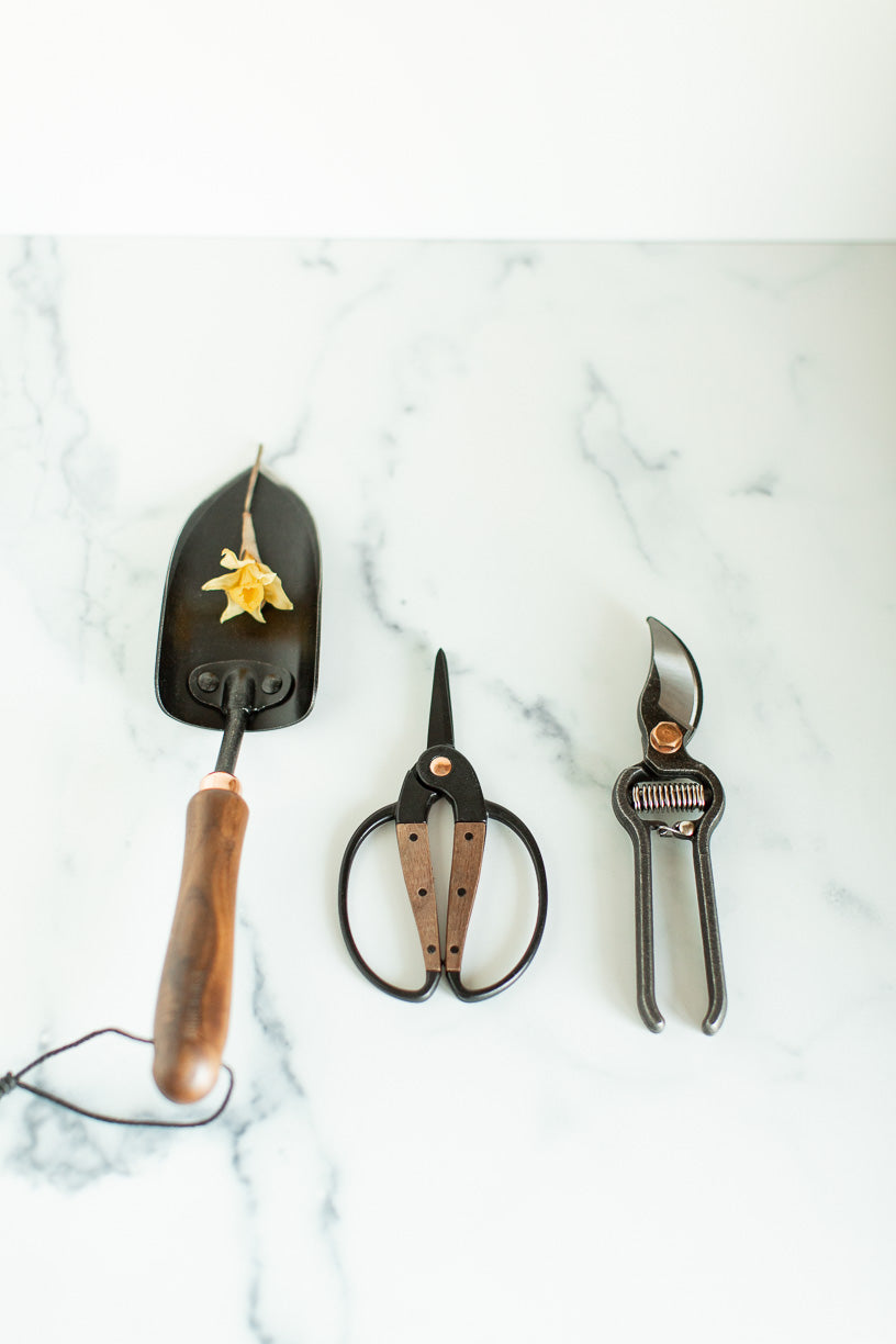 Walnut Spade Shovel