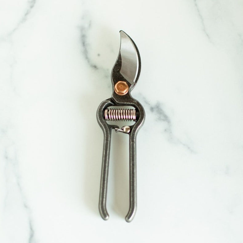 Pruner