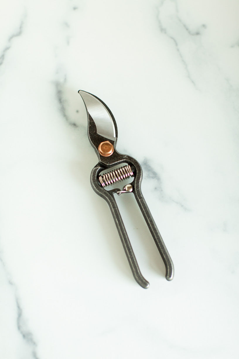 Pruner
