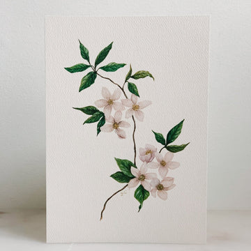 Apple Blossom in Watercolor Print