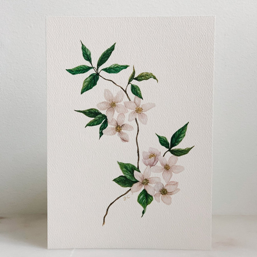 Apple Blossom in Watercolor Print