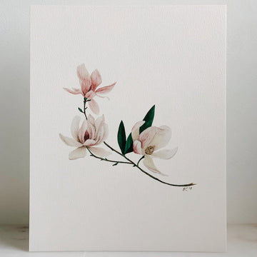 Magnolia in Watercolor Print